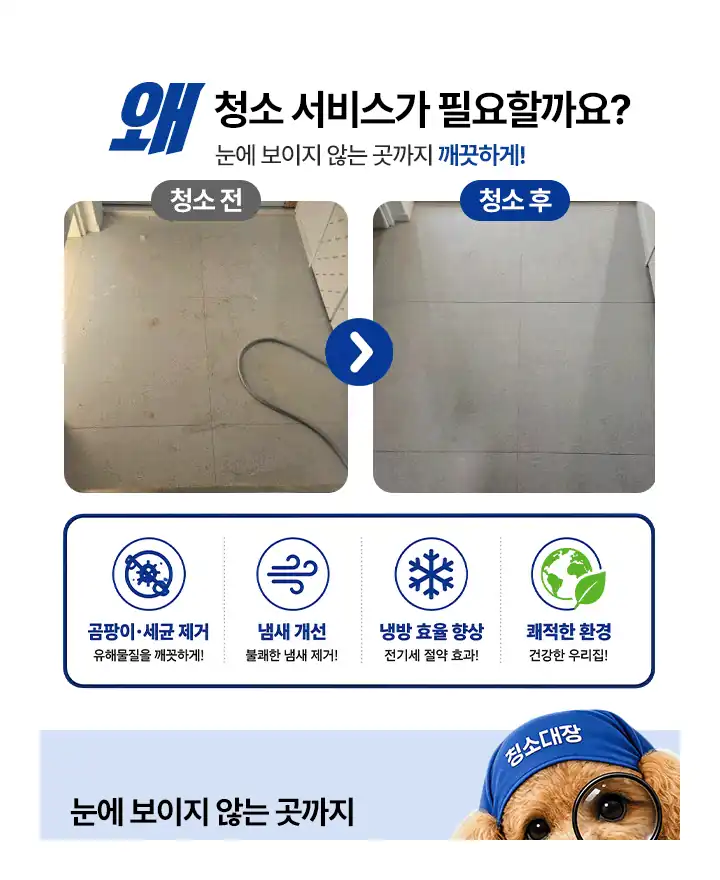 청소 전후 바닥 줄눈 상태 비교