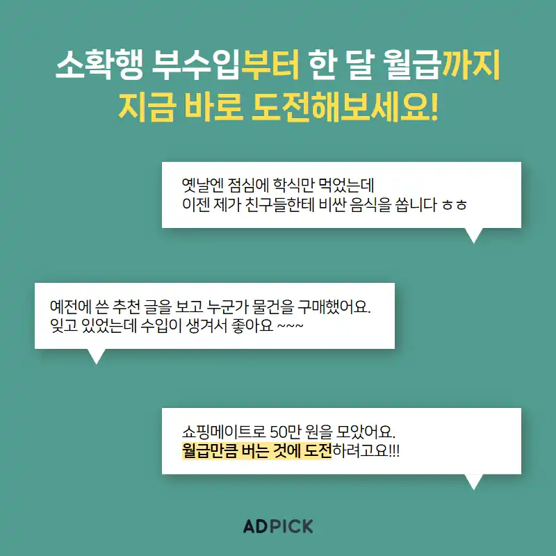 부수입에 도전한 회원 후기