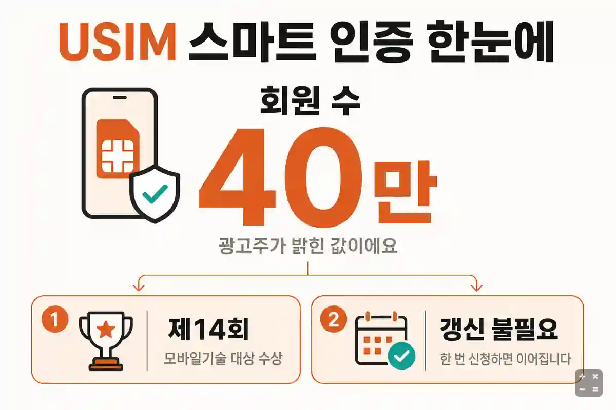 USIM 스마트 인증 서비스 개요